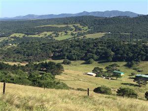 98 ha Farm in Colleen Glen
