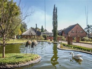 12 Bed House in Knopjeslaagte