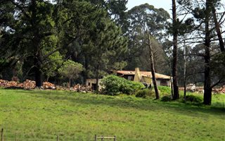 20 ha Land available in Harkerville
