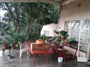 20 ha Farm in Tzaneen