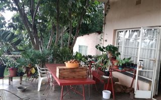 20 ha Farm in Tzaneen
