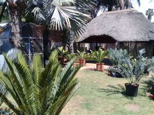 5 Bedroom House in Claremont
