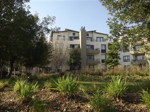 2 Bed Flat in Somerset West Central