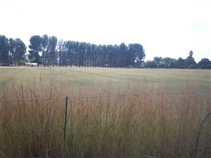 2.2 ha Land available in Homelands