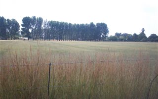 2.2 ha Land available in Homelands