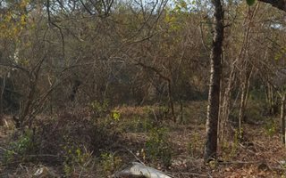 1037 m² Land available in Numbi Park