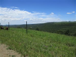 81.5 ha Farm in Ashburton