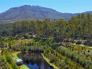 10.8 ha Farm in George South