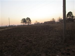 2 ha Land available in Ophir AH