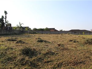 1000 m² Land available in Birdswood