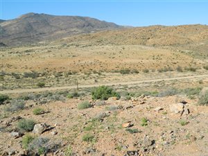 21.4 ha Farm in Springbok