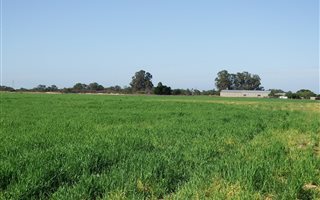 390 ha Farm in Piketberg