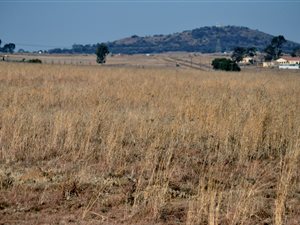 2 m² Land available in Nelsonia