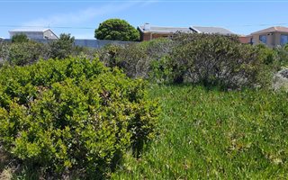 707 m² Land available in Dana Bay