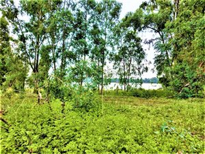 2 ha Land available in Deneysville