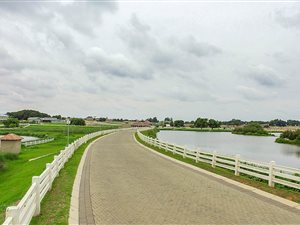 7800 m² Land available in Dunblane Estate