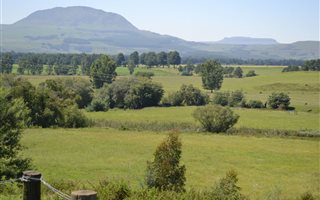 Commercial Farm in Rosetta