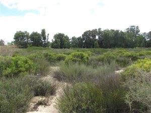 2986 m² Land available in Hopefield