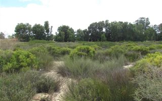 2986 m² Land available in Hopefield