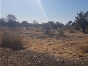 2 ha Land available in Kenley