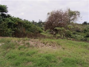 1.2 ha Land available in Shakaskraal
