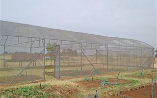 8.6 ha Farm in Bloemdal