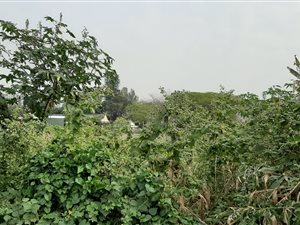 1012 m² Land available in Park Rynie