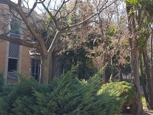 129 m² Office Space in Houghton Estate