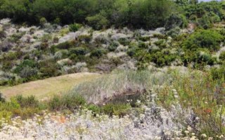 3436 m² Land available in Pezula Private Estate