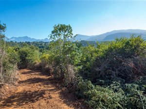 6.2 ha Land available in Hoekwil