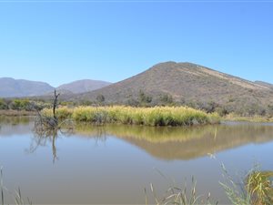 1357 ha Farm in Strubenvale