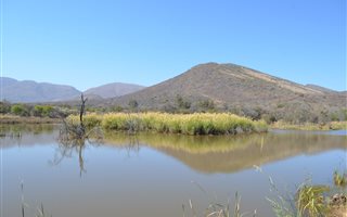 1357 ha Farm in Strubenvale