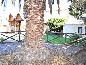 4 Bed House in Paglande