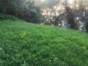 345 m² Land available in Paradise Valley