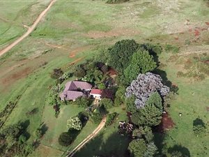 217 ha Farm in Mooi River