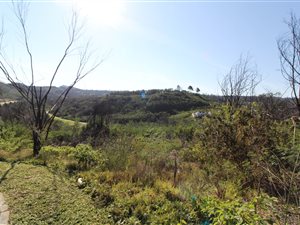 1010 m² Land available in Eastford Cove