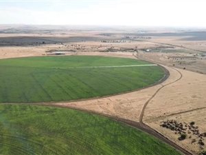 280 ha Farm in Theunissen