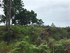 1468 m² Land available in Palm Beach