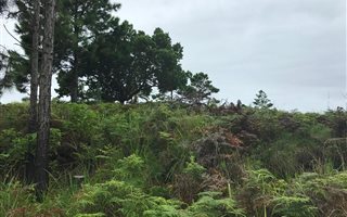 1468 m² Land available in Palm Beach