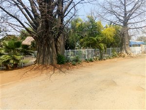 4 Bed House in Musina