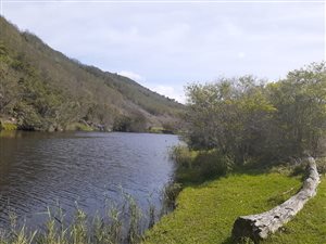 4 ha Farm in Great Brak River