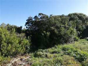 1083 m² Land available in Tergniet