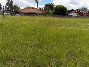 749 m² Land available in Dannhauser