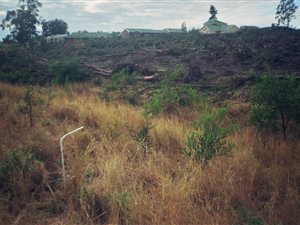 5.1 ha Land available in Kabega
