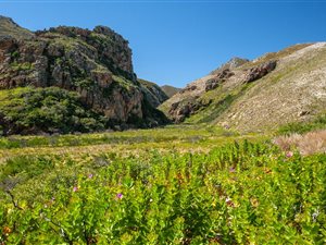 4.8 ha Smallholding in Rooi Els