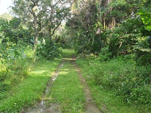 1048 m² Land available in Leisure Bay