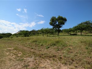 2.2 ha Land available in Wild Fig Estate