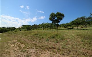 2.2 ha Land available in Wild Fig Estate