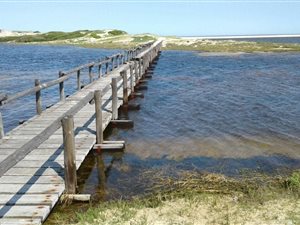1325 m² Land available in Flamingo Bay