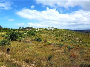 4006 m² Land available in Pezula Private Estate